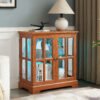 LED Curio Display Cabinet