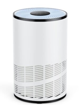 Home Air Purifiers