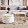 Modern 2-piece White Circular Nested Coffee Table