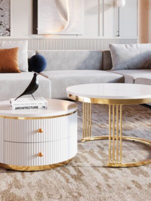 Modern 2-piece White Circular Nested Coffee Table