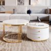 Modern 2-piece White Circular Nested Coffee Table