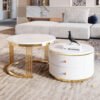 Modern 2-piece White Circular Nested Coffee Table