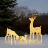 3-Piece Lighted Christmas Reindeer Family Set Outdoor Decorations,