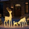 3-Piece Lighted Christmas Reindeer Family Set Outdoor Decorations,